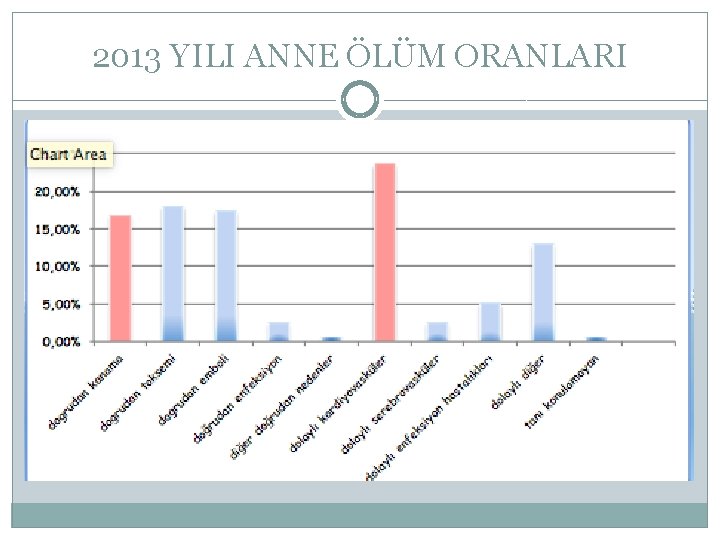 2013 YILI ANNE ÖLÜM ORANLARI 