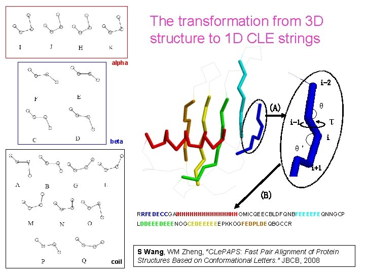 The transformation from 3 D structure to 1 D CLE strings alpha i-2 θ