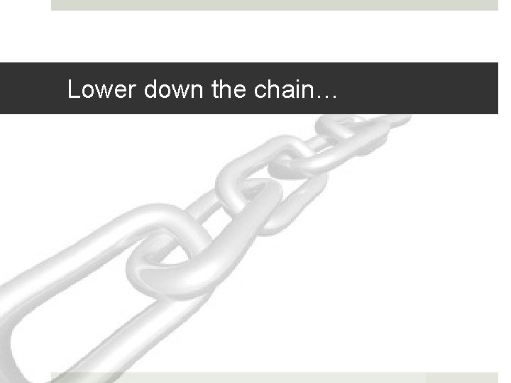 Lower down the chain… 