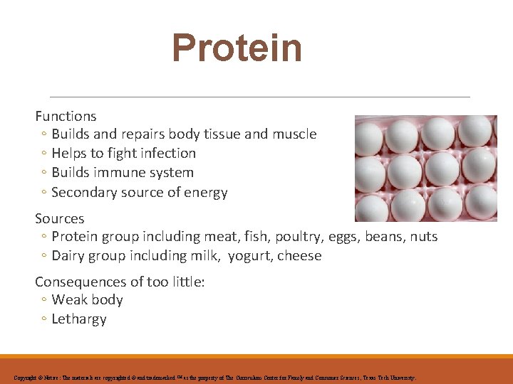 Protein Functions ◦ Builds and repairs body tissue and muscle ◦ Helps to fight
