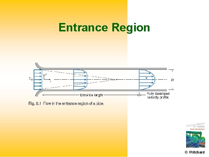 Entrance Region © Pritchard 