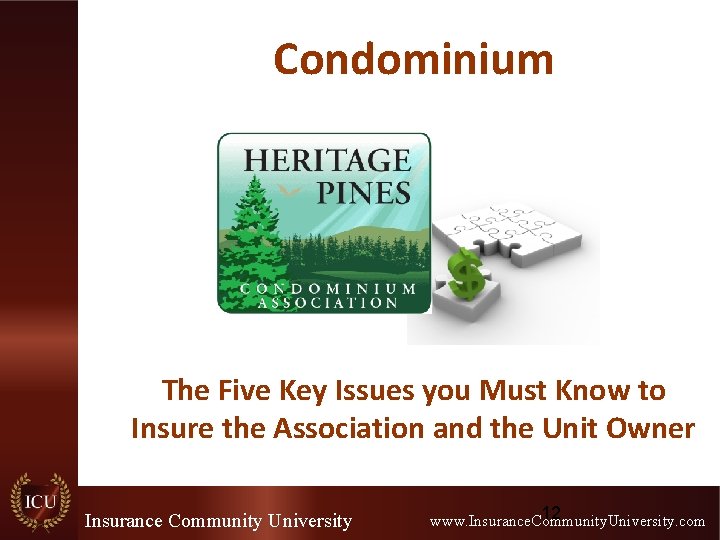 Condominium The Five Key Issues you Must Know to Insure the Association and the