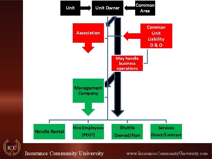 Unit Owner Common Area Common Unit Liability D&O Association May handle business operations Management