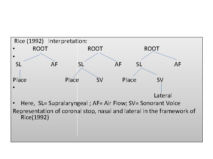  Rice (1992) interpretation: • ROOT ROOT • SL AF SL AF Place SV