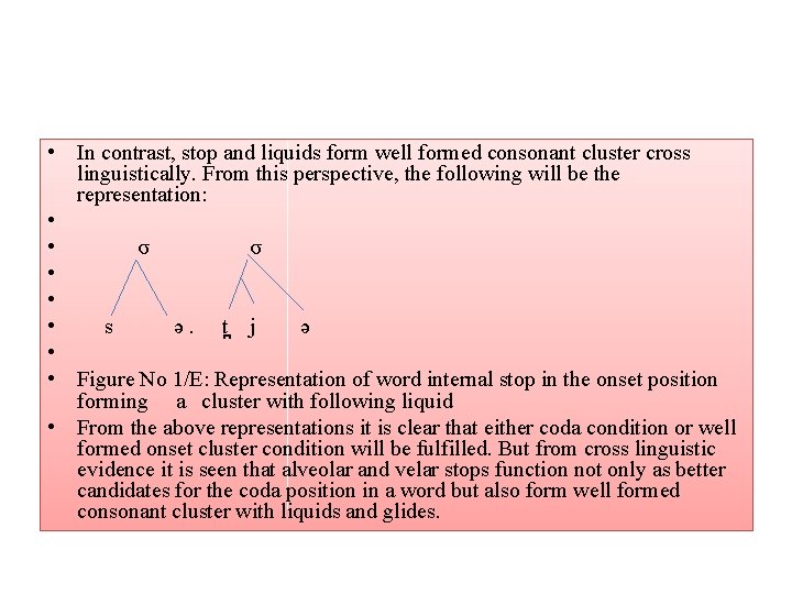  • In contrast, stop and liquids form well formed consonant cluster cross linguistically.