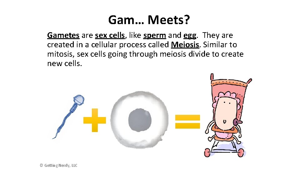 Gam… Meets? Gametes are sex cells, like sperm and egg. They are created in