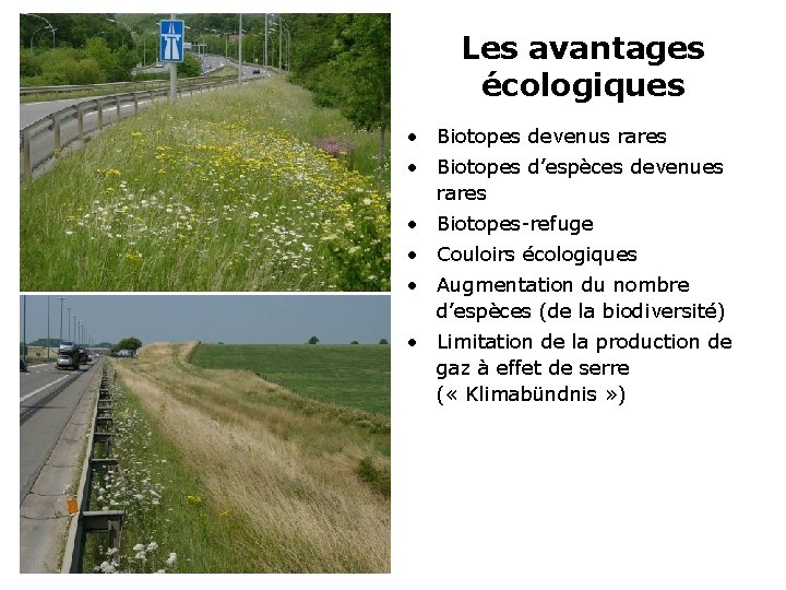 Les avantages écologiques • Biotopes devenus rares • Biotopes d’espèces devenues rares • Biotopes-refuge