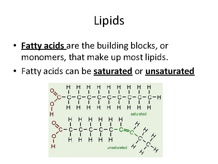 Lipids • Fatty acids are the building blocks, or monomers, that make up most