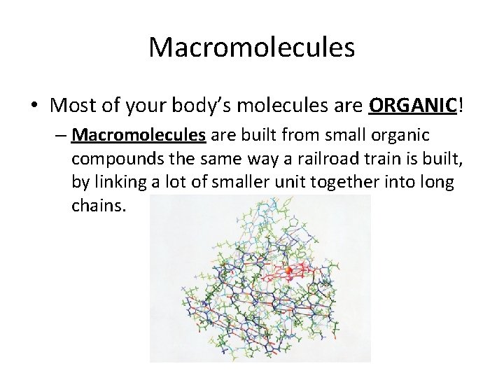 Macromolecules • Most of your body’s molecules are ORGANIC! – Macromolecules are built from