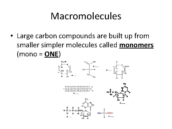 Macromolecules • Large carbon compounds are built up from smaller simpler molecules called monomers