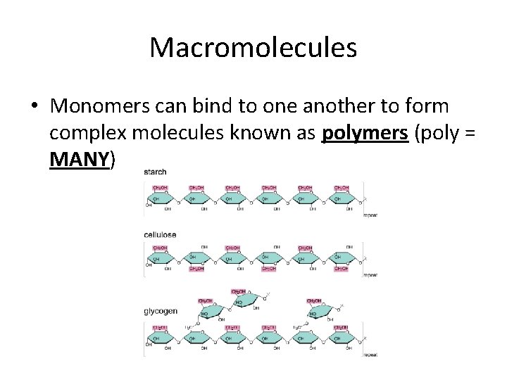 Macromolecules • Monomers can bind to one another to form complex molecules known as