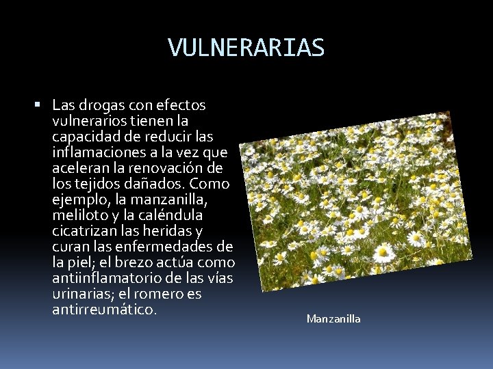 VULNERARIAS Las drogas con efectos vulnerarios tienen la capacidad de reducir las inflamaciones a