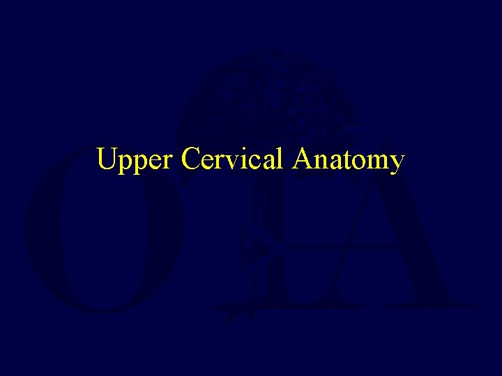 Upper Cervical Anatomy 