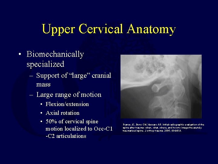 Upper Cervical Anatomy • Biomechanically specialized – Support of “large” cranial mass – Large