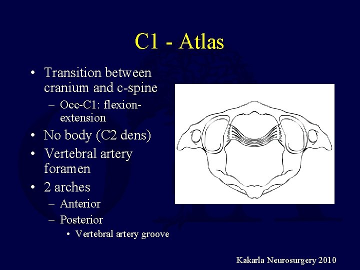 C 1 - Atlas • Transition between cranium and c-spine – Occ-C 1: flexionextension