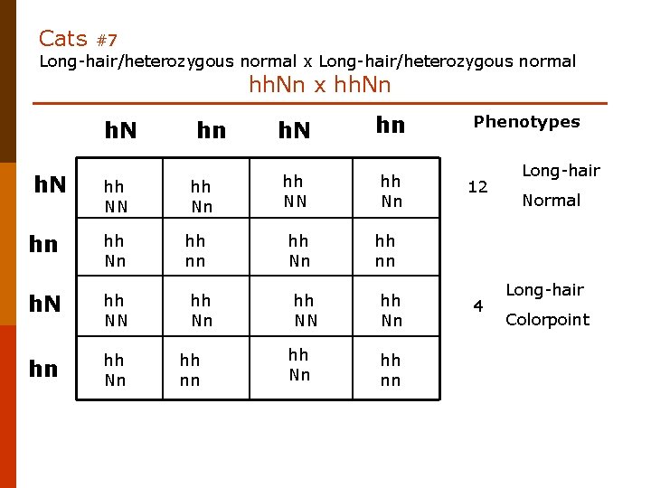 Cats #7 Long-hair/heterozygous normal x Long-hair/heterozygous normal hh. Nn x hh. Nn h. N