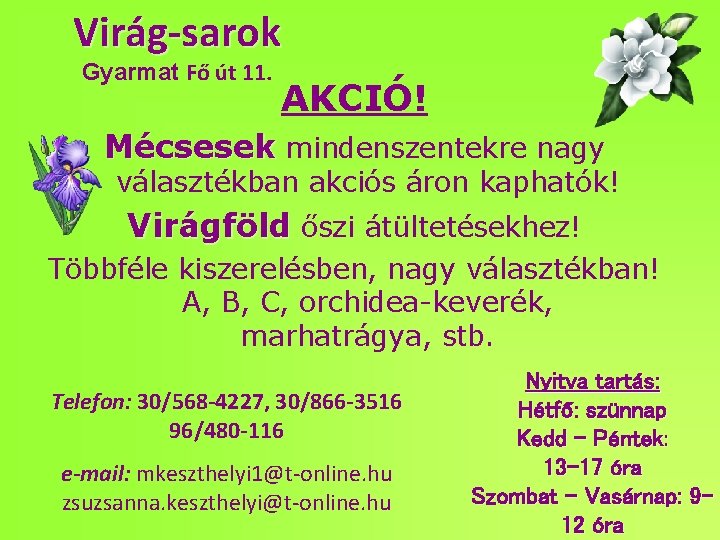 Virág-sarok Gyarmat Fő út 11. AKCIÓ! Mécsesek mindenszentekre nagy választékban akciós áron kaphatók! Virágföld