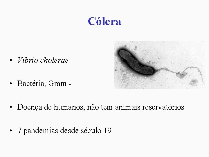 Cólera • Vibrio cholerae • Bactéria, Gram • Doença de humanos, não tem animais