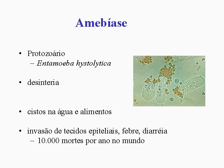 Amebíase • Protozoário – Entamoeba hystolytica • desinteria • cistos na água e alimentos