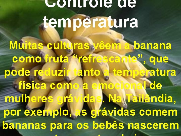 Controle de temperatura Muitas culturas vêem a banana como fruta “refrescante”, que pode reduzir