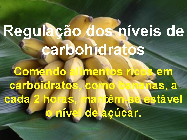 Regulação dos níveis de carbohidratos Comendo alimentos ricos em carboidratos, como bananas, a cada