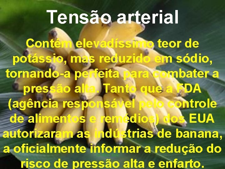 Tensão arterial Contém elevadíssimo teor de potássio, mas reduzido em sódio, tornando-a perfeita para