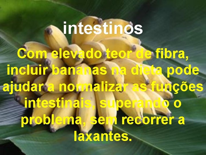 intestinos Com elevado teor de fibra, incluir bananas na dieta pode ajudar a normalizar