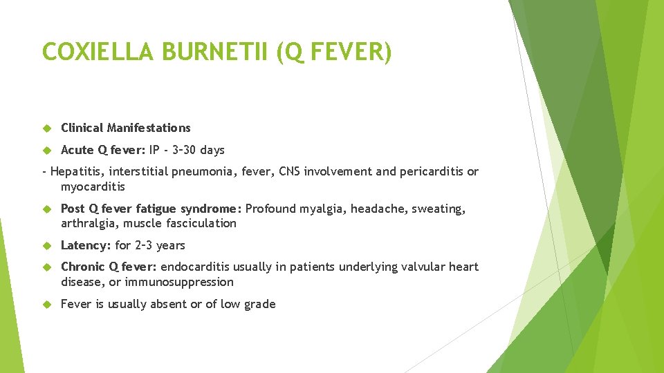 COXIELLA BURNETII (Q FEVER) Clinical Manifestations Acute Q fever: IP - 3– 30 days