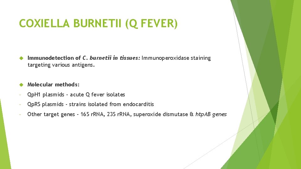 COXIELLA BURNETII (Q FEVER) Immunodetection of C. burnetii in tissues: Immunoperoxidase staining targeting various
