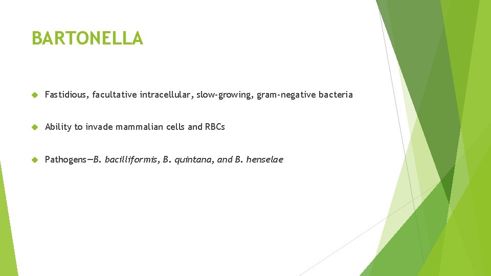 BARTONELLA Fastidious, facultative intracellular, slow-growing, gram-negative bacteria Ability to invade mammalian cells and RBCs