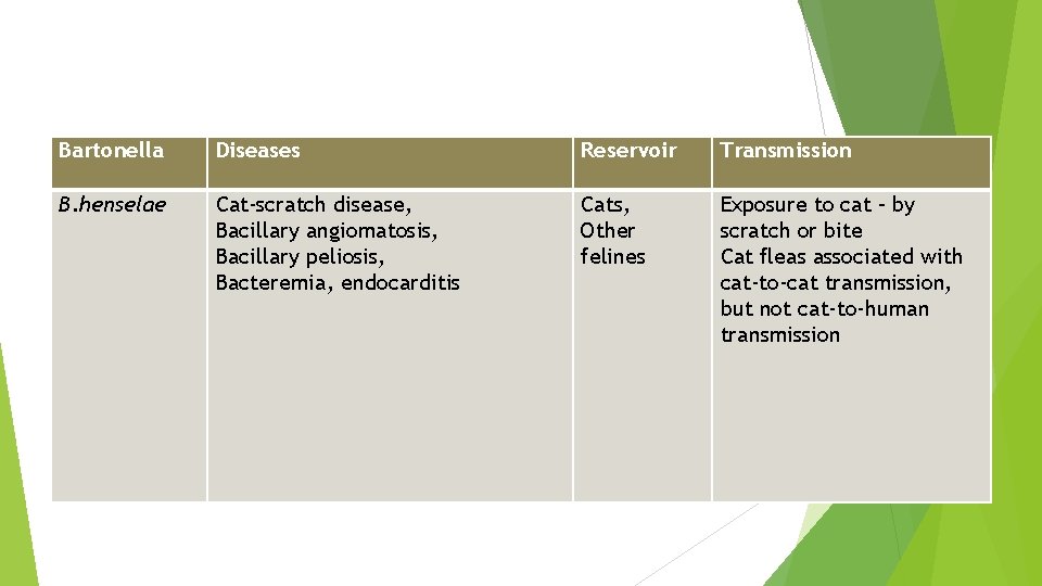 Bartonella Diseases Reservoir Transmission B. henselae Cat-scratch disease, Bacillary angiomatosis, Bacillary peliosis, Bacteremia, endocarditis