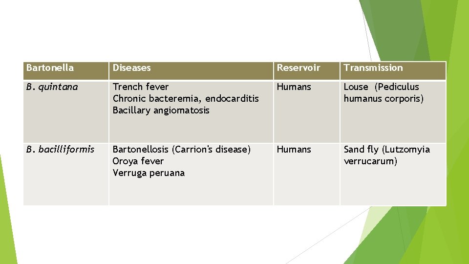 Bartonella Diseases Reservoir Transmission B. quintana Trench fever Chronic bacteremia, endocarditis Bacillary angiomatosis Humans