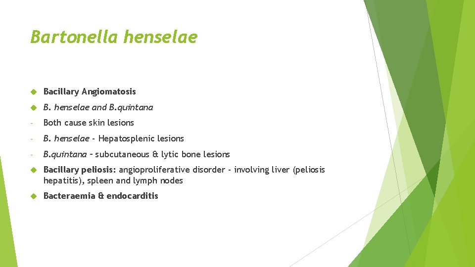 Bartonella henselae Bacillary Angiomatosis B. henselae and B. quintana - Both cause skin lesions