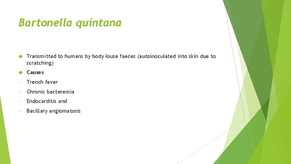 Bartonella quintana Transmitted to humans by body louse faeces (autoinoculated into skin due to