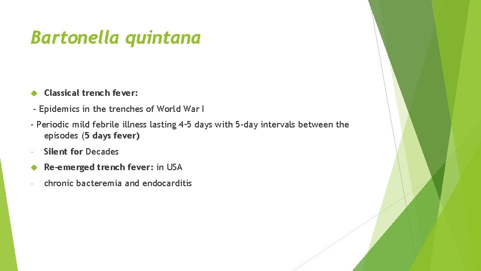 Bartonella quintana Classical trench fever: - Epidemics in the trenches of World War I
