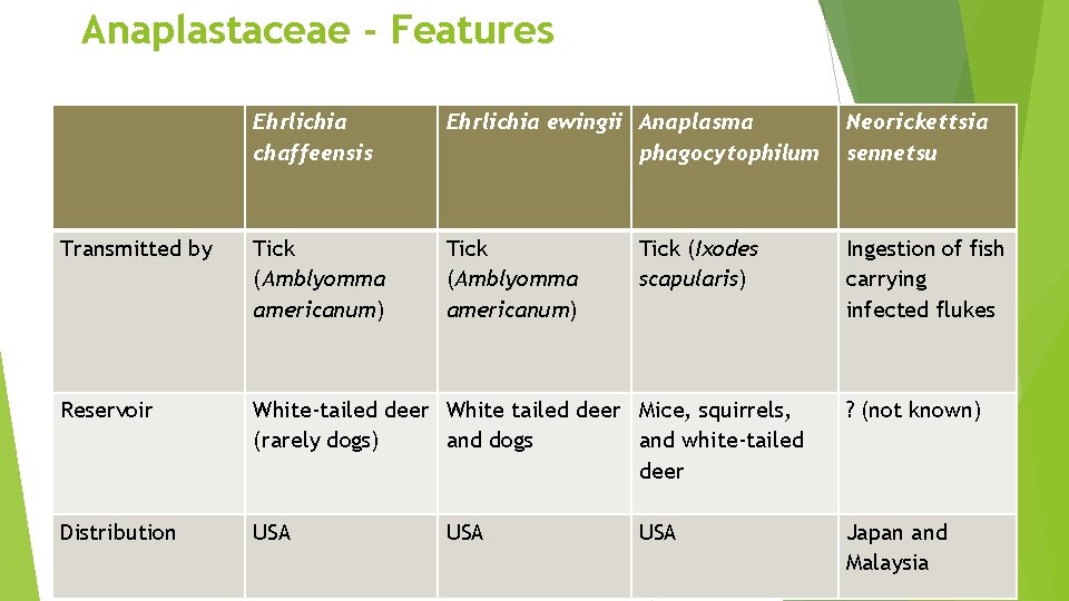 Anaplastaceae - Features Ehrlichia chaffeensis Ehrlichia ewingii Anaplasma phagocytophilum Neorickettsia sennetsu Transmitted by Tick