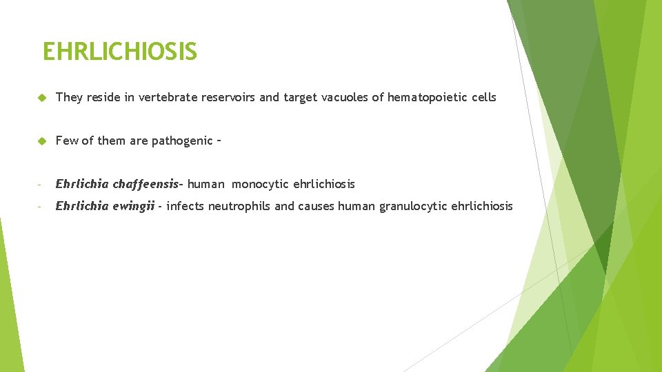 EHRLICHIOSIS They reside in vertebrate reservoirs and target vacuoles of hematopoietic cells Few of