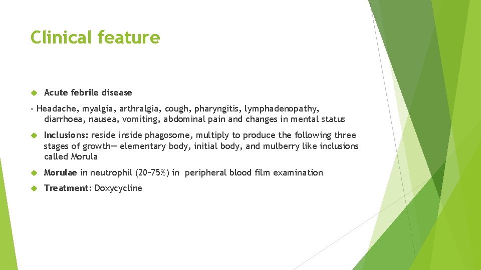 Clinical feature Acute febrile disease - Headache, myalgia, arthralgia, cough, pharyngitis, lymphadenopathy, diarrhoea, nausea,