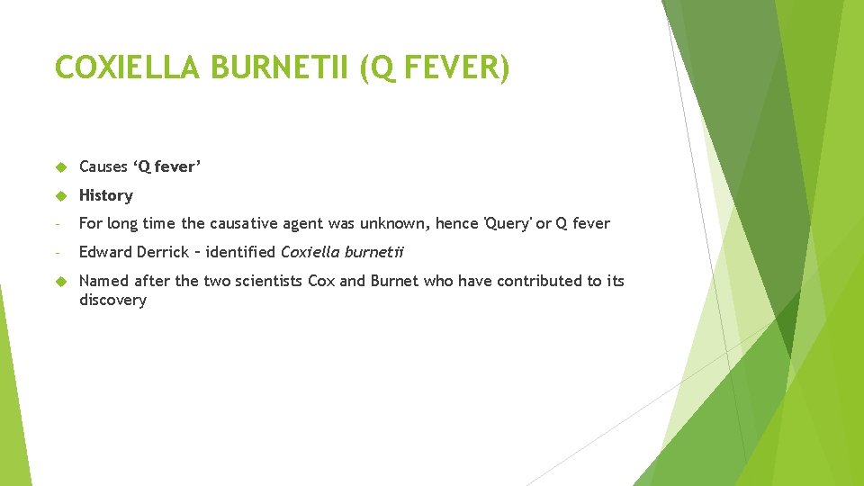 COXIELLA BURNETII (Q FEVER) Causes ‘Q fever’ History - For long time the causative