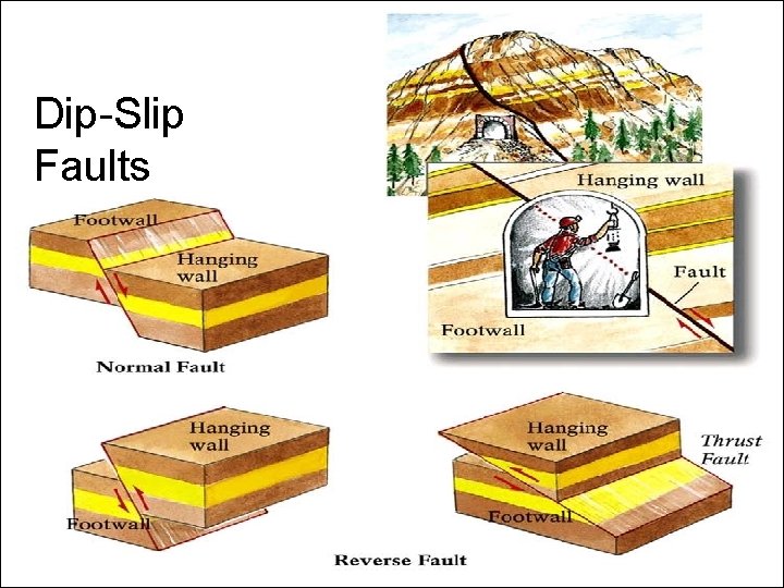 Dip-Slip Faults 