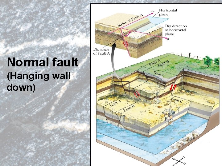 Normal fault (Hanging wall down) 