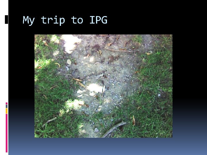 My trip to IPG 