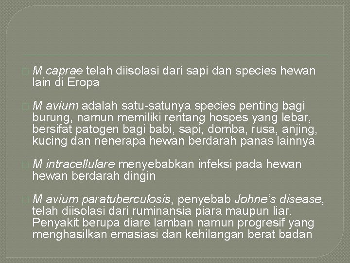 �M caprae telah diisolasi dari sapi dan species hewan lain di Eropa �M avium