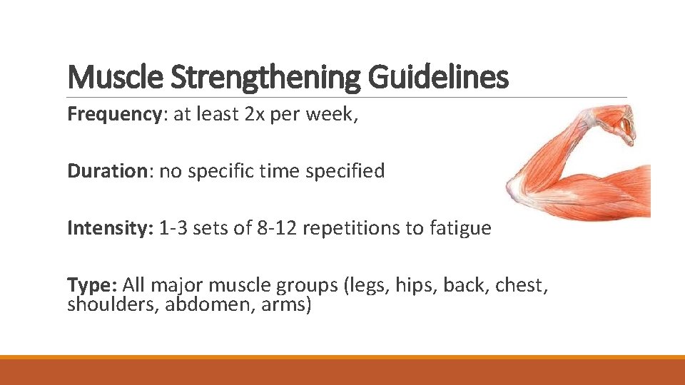 Muscle Strengthening Guidelines Frequency: at least 2 x per week, Duration: no specific time