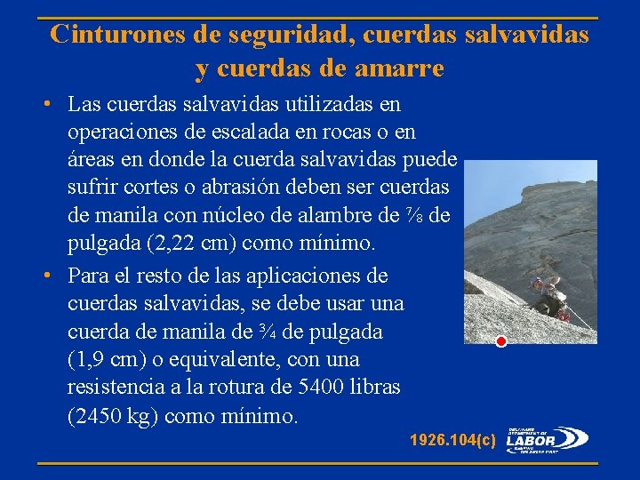 Cinturones de seguridad, cuerdas salvavidas y cuerdas de amarre • Las cuerdas salvavidas utilizadas