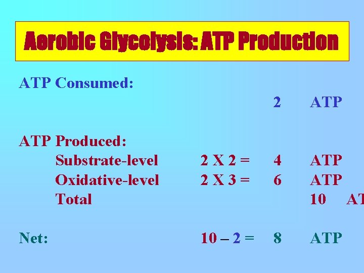 Aerobic Glycolysis: ATP Production ATP Consumed: 2 ATP 4 6 ATP 10 AT ATP