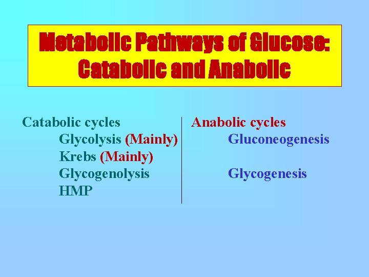 Metabolic Pathways of Glucose: Catabolic and Anabolic Catabolic cycles Anabolic cycles Glycolysis (Mainly) Gluconeogenesis