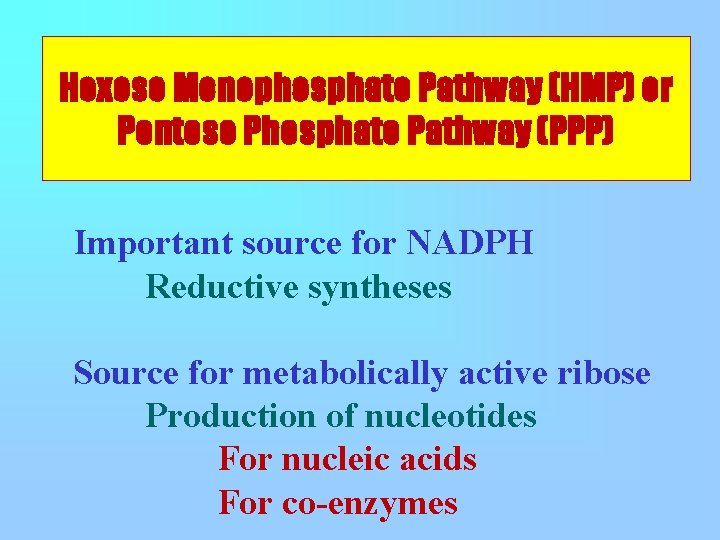 Hexose Monophosphate Pathway (HMP) or Pentose Phosphate Pathway (PPP) Important source for NADPH Reductive