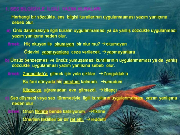 1. SES BİLGİSİYLE İLGİLİ YAZIM KURALARI Herhangi bir sözcükte, ses bilgisi kurallarının uygulanmaması yazım