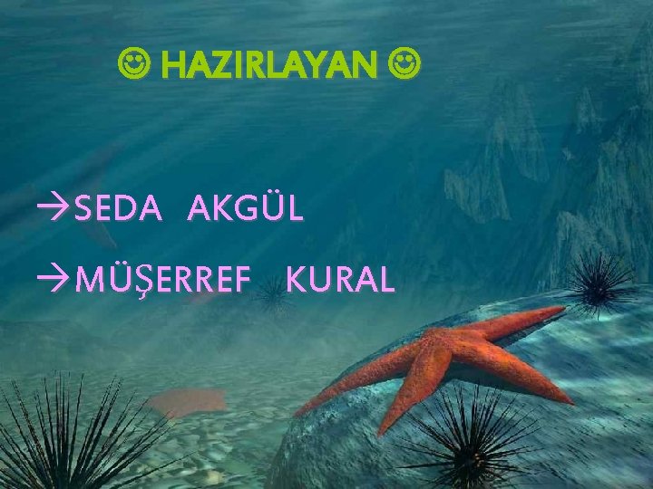  HAZIRLAYAN SEDA AKGÜL MÜŞERREF KURAL 